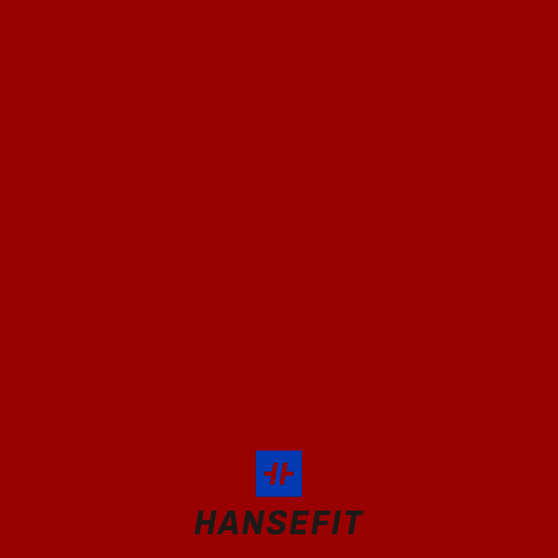 hansefit
